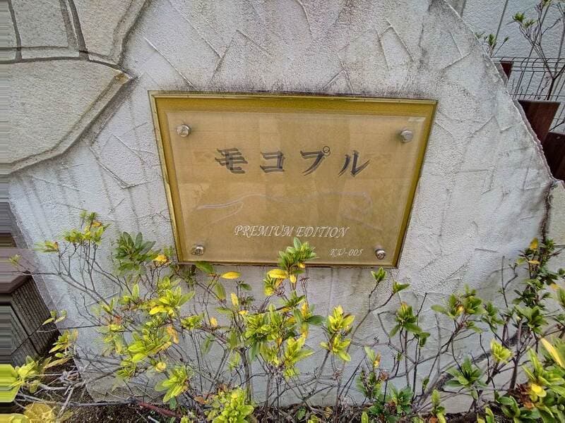 レオネクストモコプル 1階のその他 3