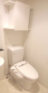 グラントゥルース大森プレミオ 3階のトイレ 2