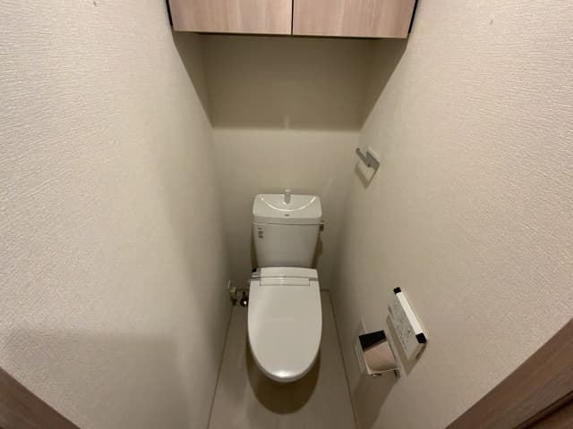 コンシェリア麻布 ＰＬＡＴＩＮＵＭ ＳＱＵＡＲＥ 4階のトイレ 1