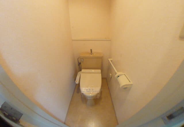LANAI COMFORT２４ 2階のトイレ 1