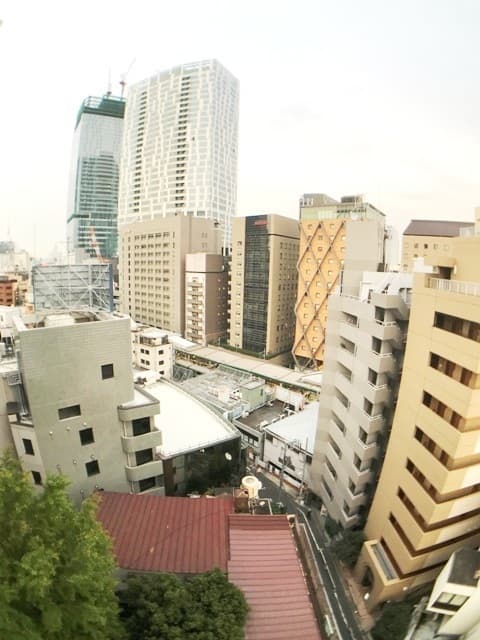 パークアクシス渋谷桜丘サウス 10階の眺望 1