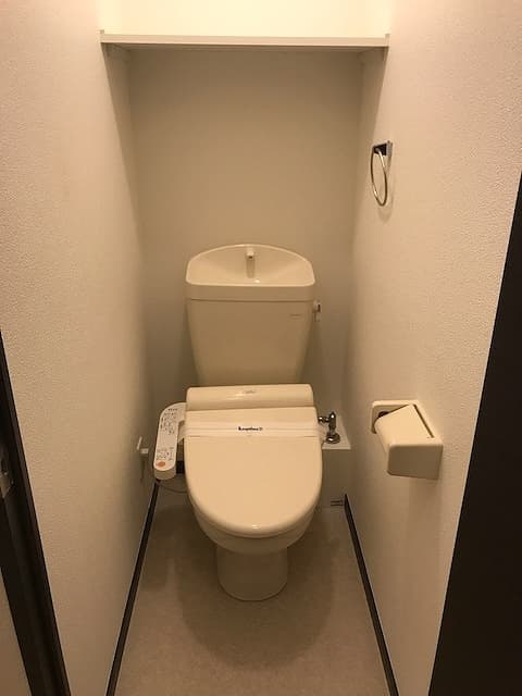レオネクスト桜坂 2階のトイレ 1