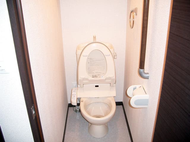 レオネクストショウワ 2階のトイレ 1