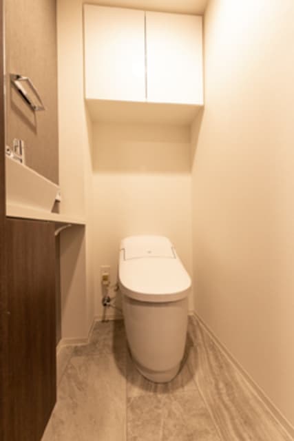 グリーンレジデンス赤坂 2階のトイレ 1