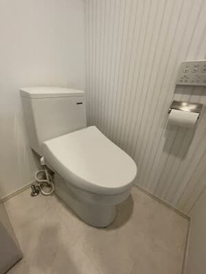 ＡＺＥＳＴ亀有Ⅱ 1階のトイレ 1