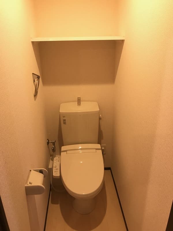 クレイノ桃井 2階のトイレ 1