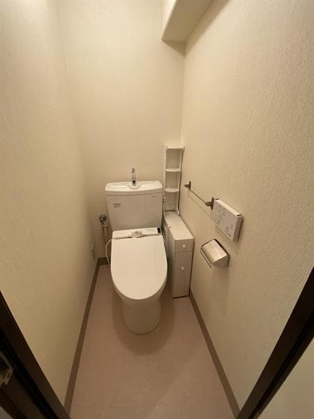 中銀音羽マンシオン 304のトイレ 1