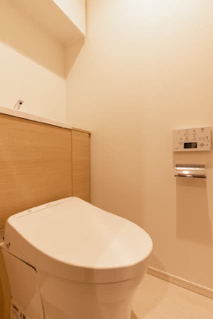 文京　ＧＡＲＤＥＮ　ザ　サウス 18階のトイレ 1