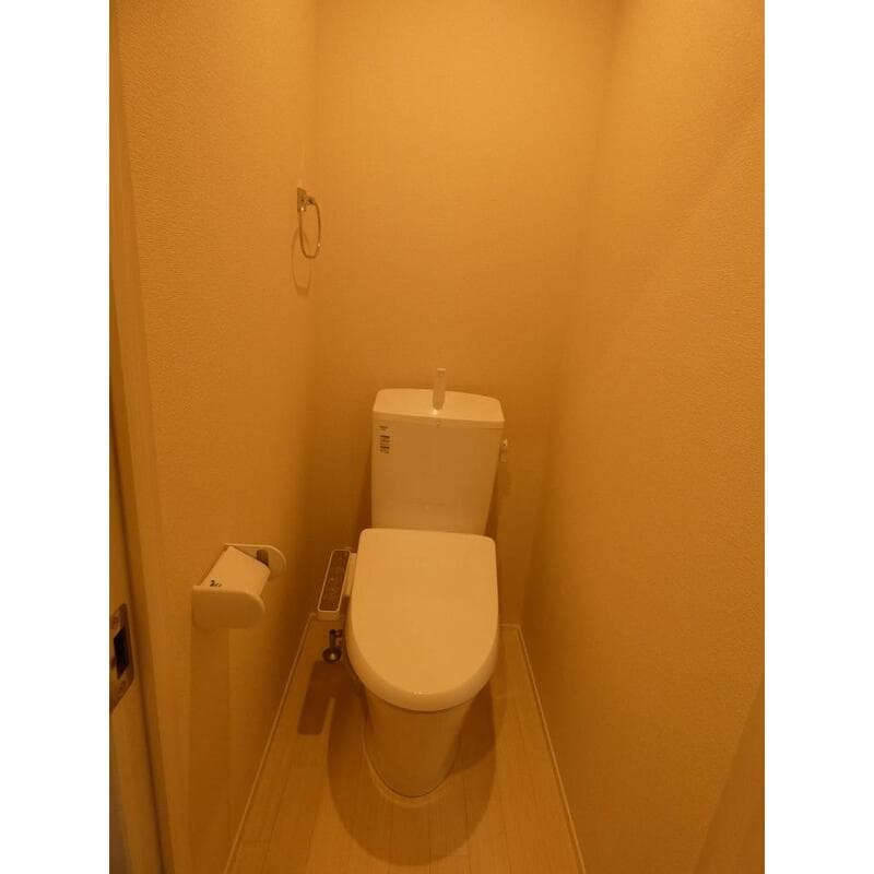 ラ　メゾン　リオン 1階のトイレ 1