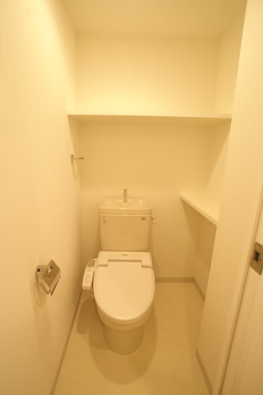 ブライズ東雪谷アジールコート 5階のトイレ 1