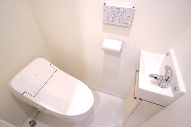 フルハウス飯田橋 101のトイレ 1