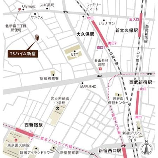 ＴＳハイム新宿 207の地図 1