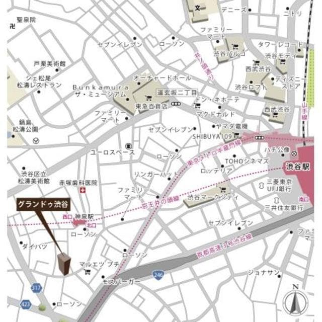 グランドゥ渋谷 501の地図 1
