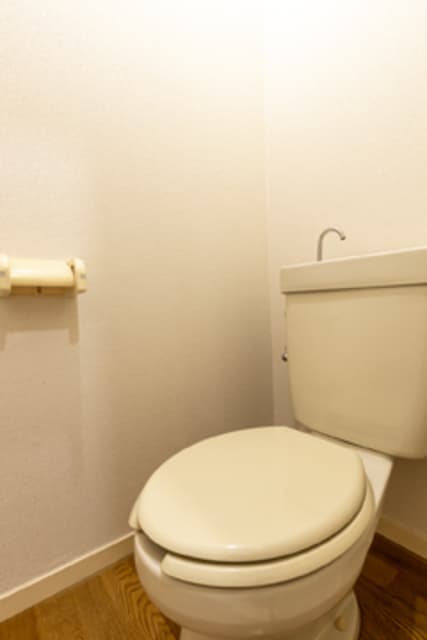 木村コーポ 201のトイレ 1