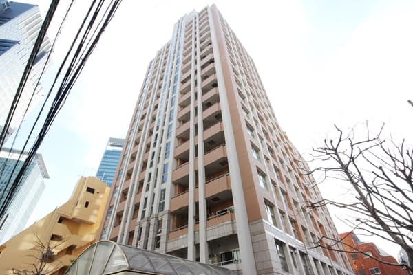 ファミール新宿グランスィートタワー 13階の外観 1