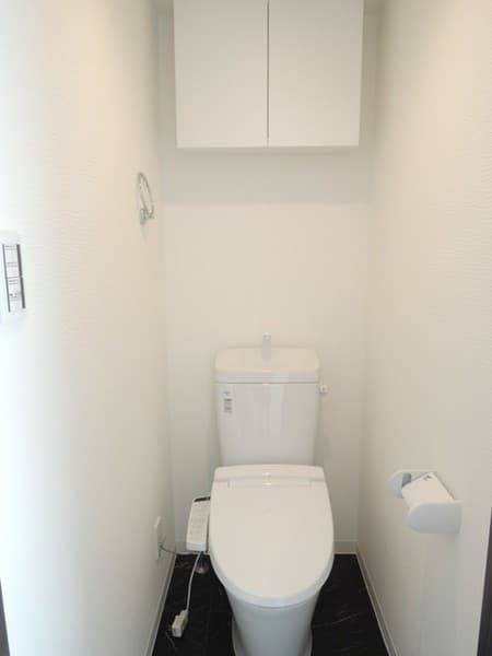 スカイコートパレス蒲田II 1階のトイレ 1
