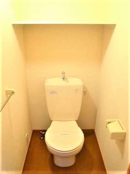 レオパレスレークイエ 302のトイレ 1