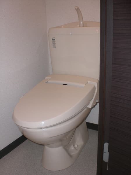 レオパレスカーサ　ソレアード 1階のトイレ 1