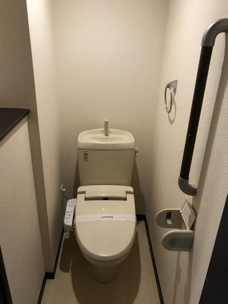 レオネクストＬｕｃｅ　ｄｉ貫井 101のトイレ 1