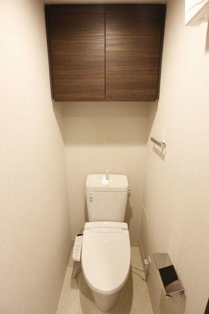 コンシェリア新橋　ＴＯＫＹＯ　ＰＲＥＭＩＵＭ 8階のトイレ 1