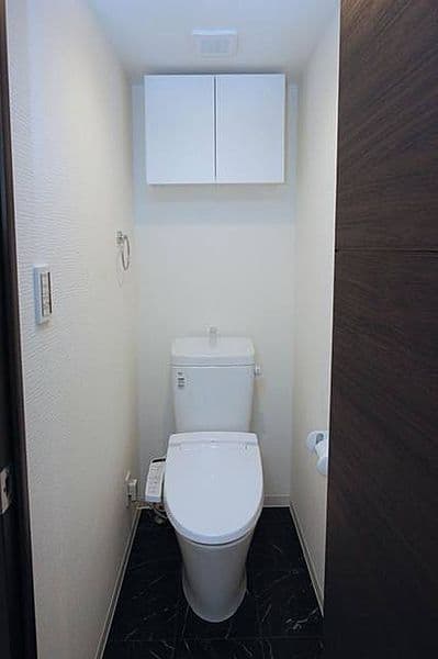 スカイコートパレス蒲田II 1階のトイレ 2