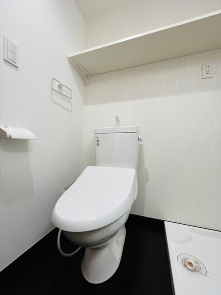 パティオ平井 2階のトイレ 1