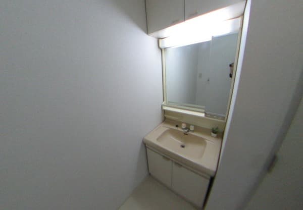 LANAI COMFORT２４ 3階の洗面所 1