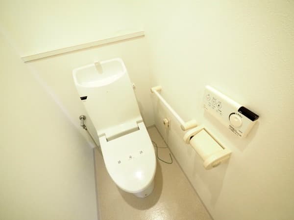 LANAI COMFORT２４ 4階のトイレ 1