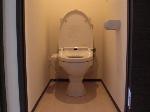 レオネクストＤ２　ａ１ 2階のトイレ 1