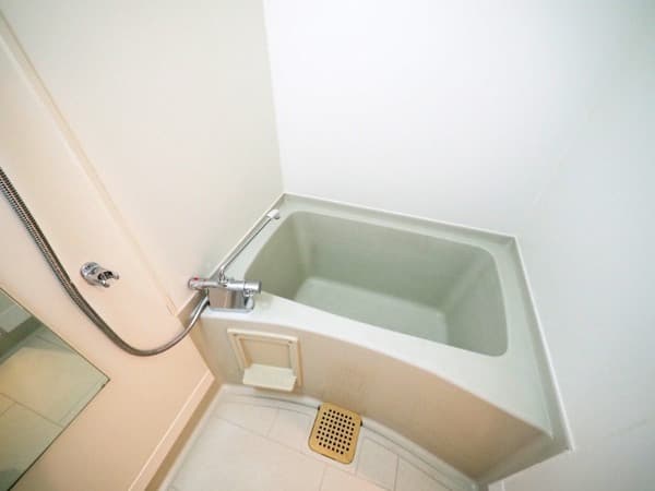 LANAI COMFORT２４ 4階の風呂 1