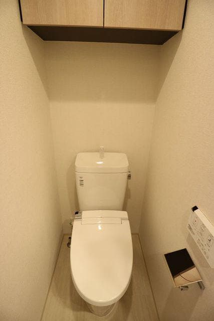 コンシェリア麻布 ＰＬＡＴＩＮＵＭ ＳＱＵＡＲＥ 5階のトイレ 1