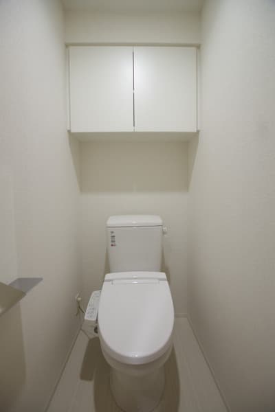 MAXIV東向島フュージョナルDUE 1階のトイレ 1
