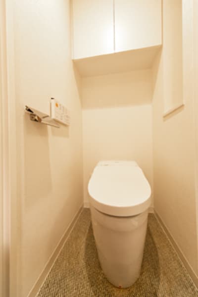 アネーロ銀座 9階のトイレ 1