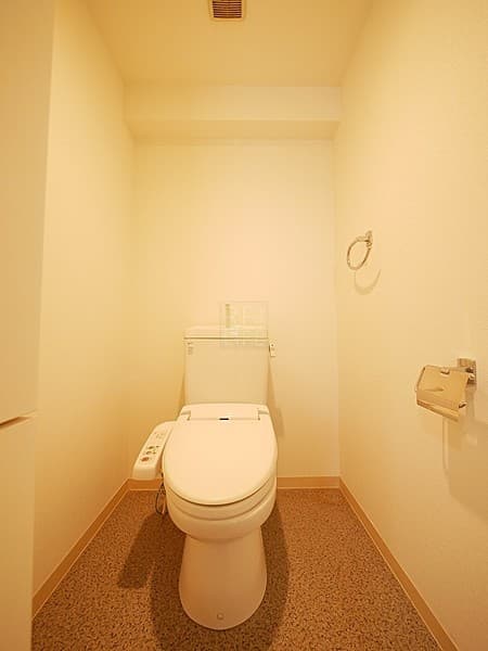 パレステュディオDOLCE本駒込 11階のトイレ 1