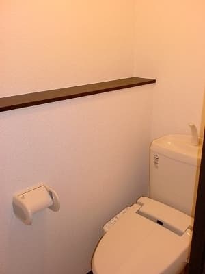 レオネクスト立花 2階のトイレ 1
