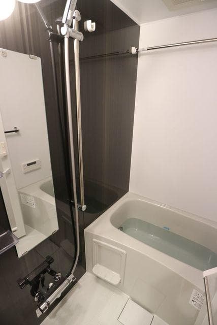 コンシェリア麻布 ＰＬＡＴＩＮＵＭ ＳＱＵＡＲＥ 10階の風呂 1