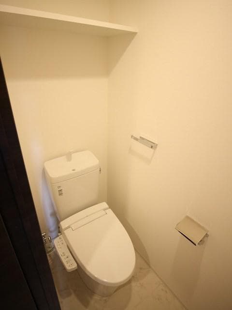 コンシェリア南麻布　ＴＯＫＹＯ　ＰＲＥＭＩＵＭ　ＷＥＳＴ 5階のトイレ 1