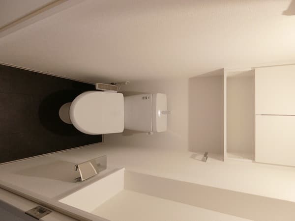 アジールコート西馬込Ⅱ 4階のトイレ 1