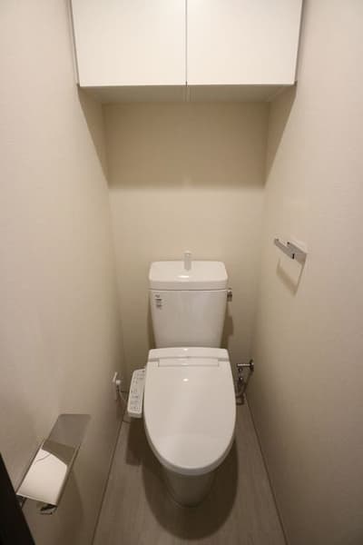 コンシェリア南麻布 ＰＬＡＴＩＮＵＭ ＳＱＵＡＲＥ 3階のトイレ 1
