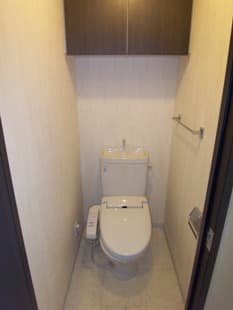 グラントゥルース小石川 801のトイレ 1
