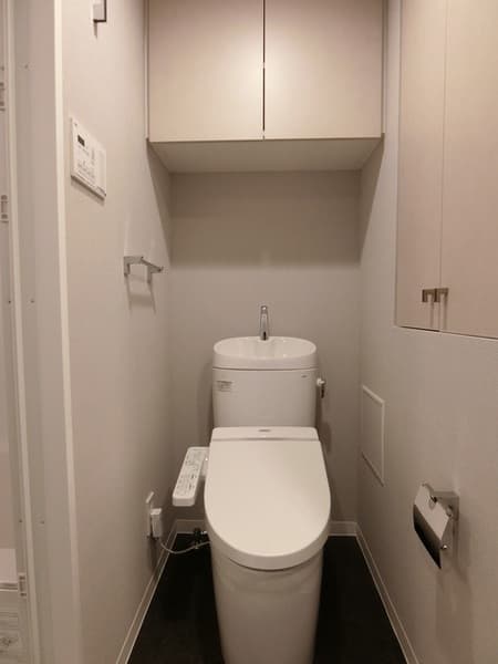 ＢＲＥＥＺＥ　ＭＡＩＳＯＮ　ＩＴＡＢＡＳＨＩ 4階のトイレ 1