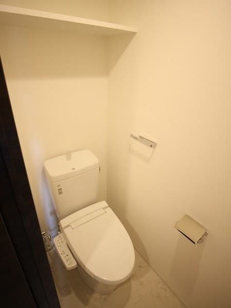 コンシェリア南麻布　ＴＯＫＹＯ　ＰＲＥＭＩＵＭ　ＷＥＳＴ 7階のトイレ 1
