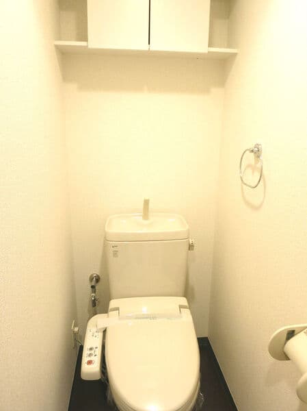 ウィルテラス西大島 5階のトイレ 1