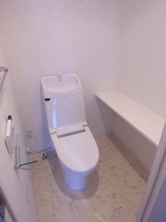 ブランノワール早稲田 6階のトイレ 1