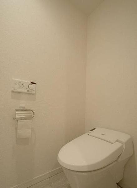 ルフォンプログレ南麻布 2階のトイレ 1