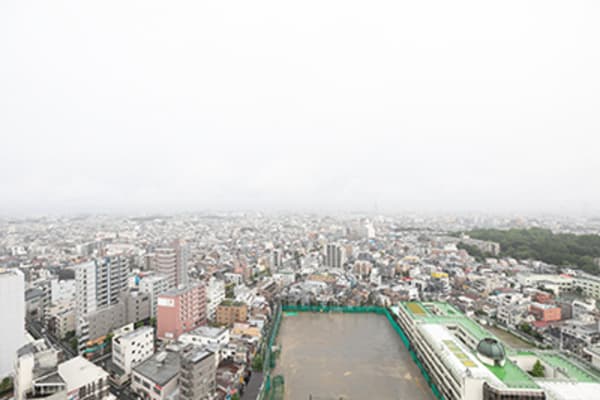 パークシティ武蔵小山　ザ　タワー 21階の眺望 1