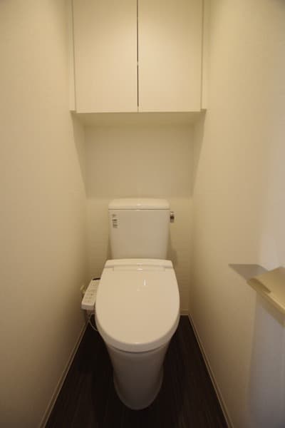 ブライズ上野毛DUE 4階のトイレ 1