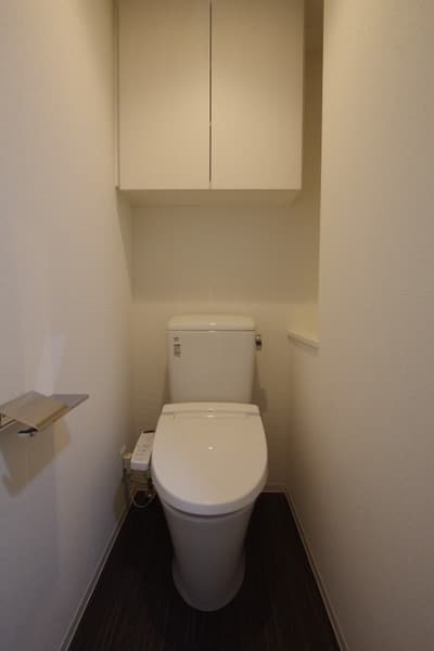 ブライズ上野毛DUE 3階のトイレ 1