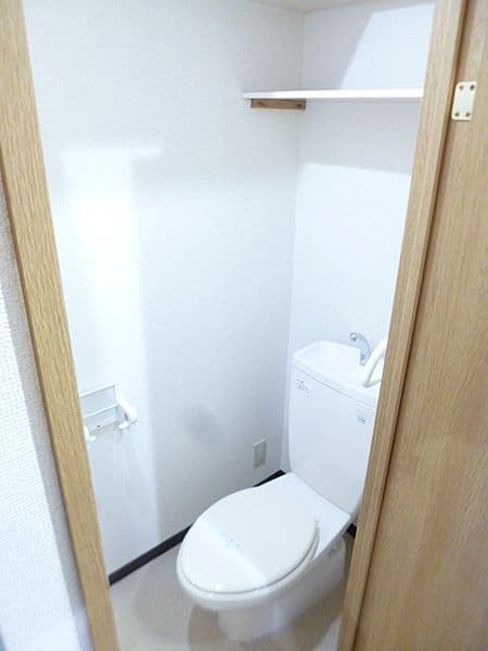 スカイコート神田 7階のトイレ 1