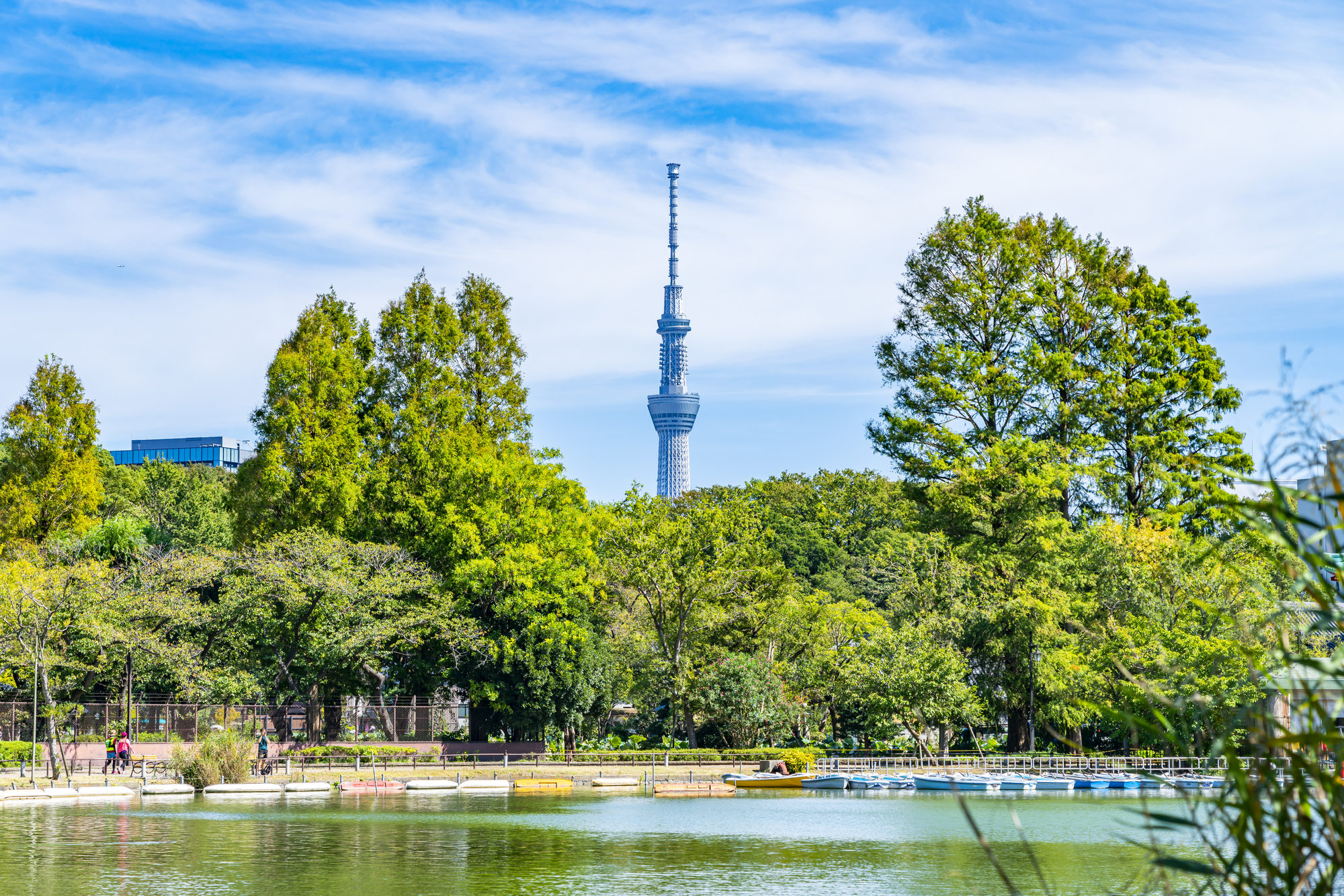 上野恩賜公園